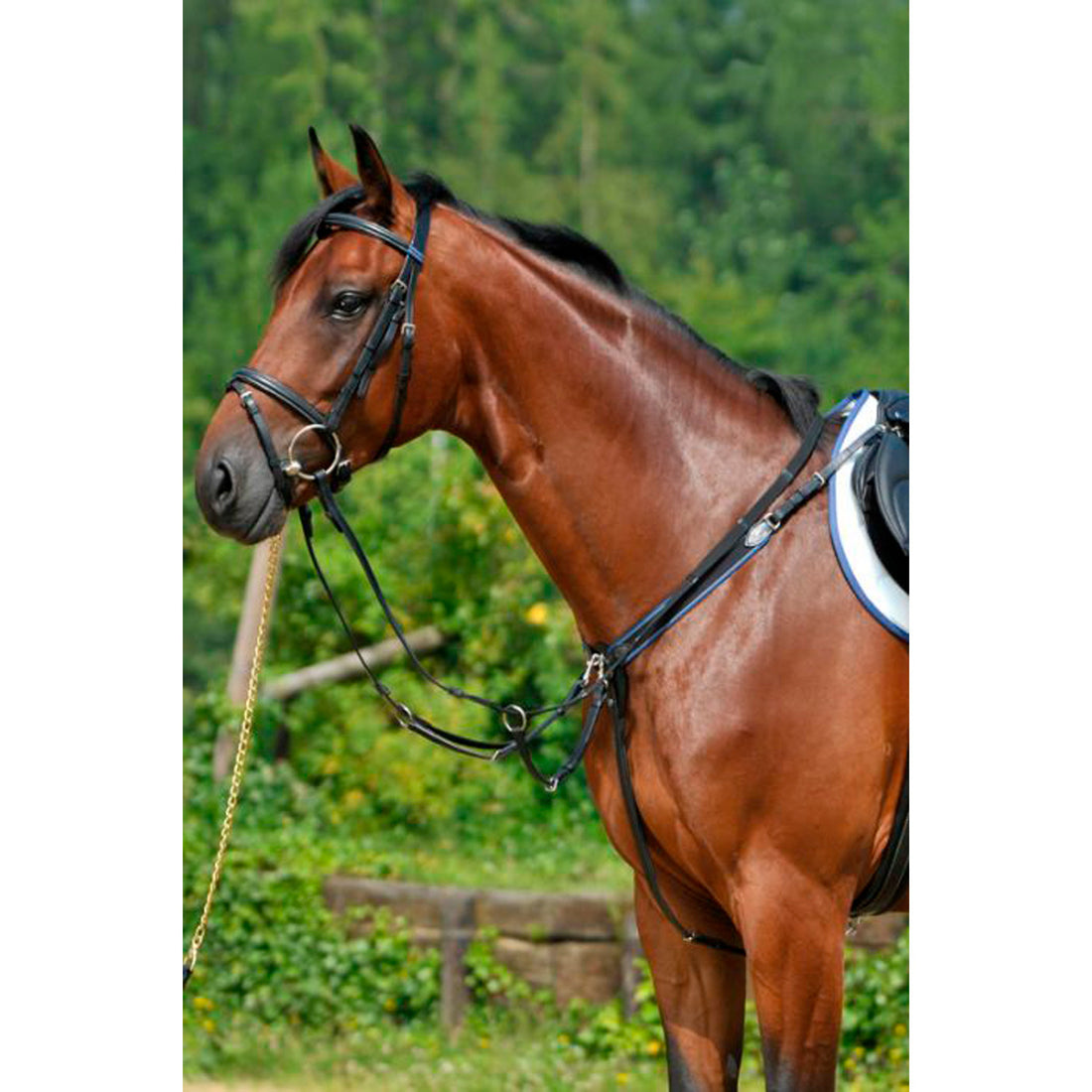 BREASTPLATE WITH ELASTIC AND RUNNING ATTACHMENT.