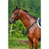 BREASTPLATE WITH ELASTIC AND RUNNING ATTACHMENT.
