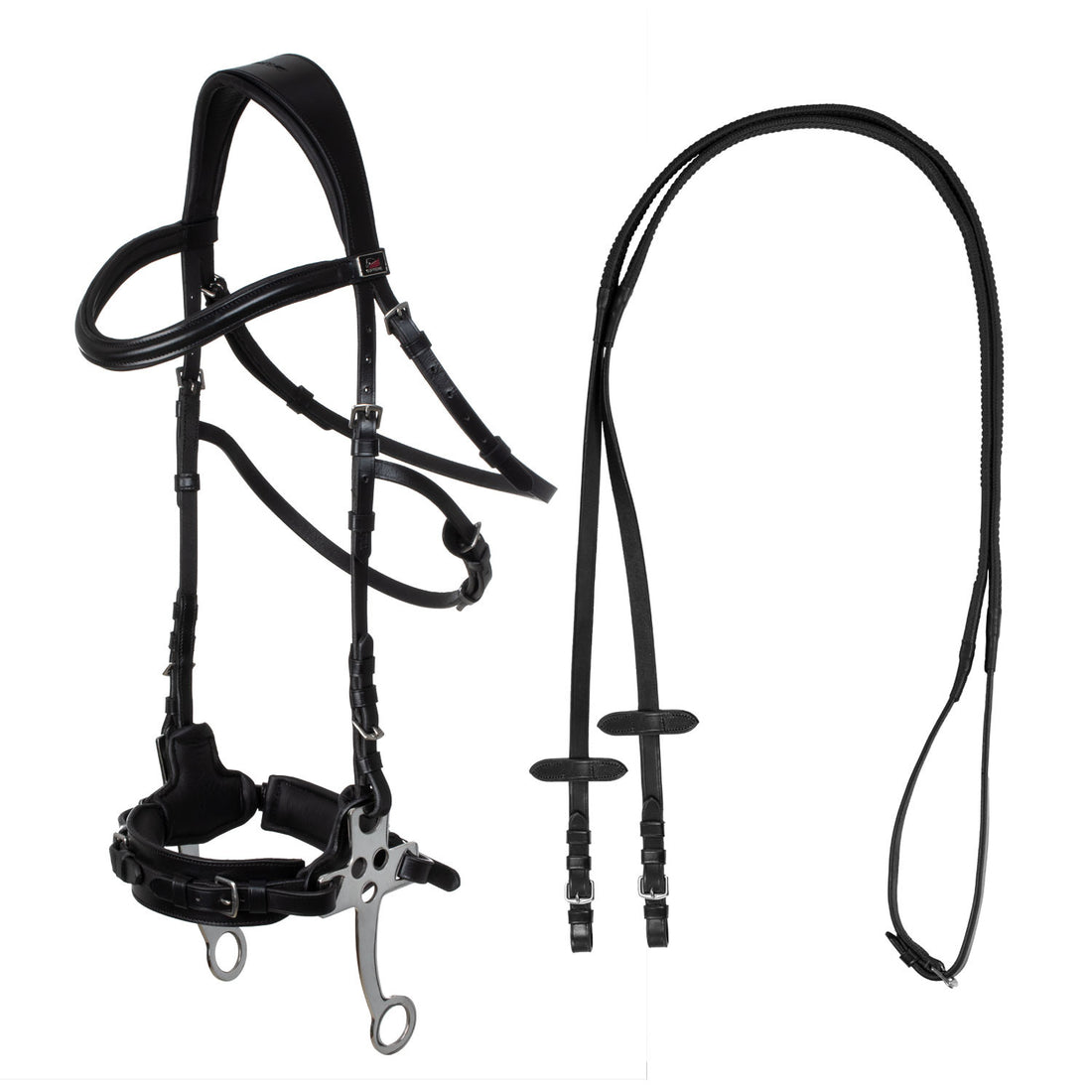 Hackamore bridle.