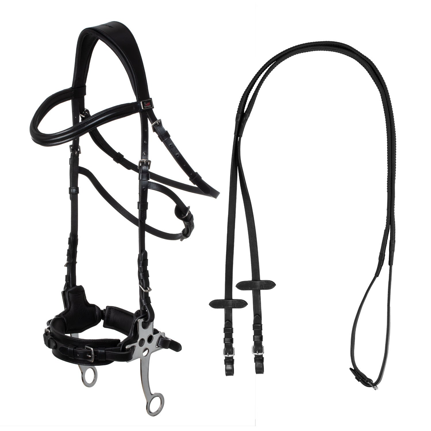 Hackamore bridle.
