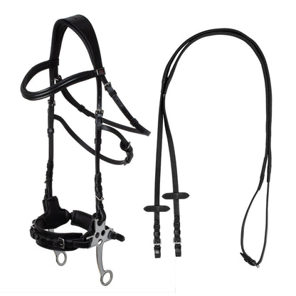 Hackamore bridle.