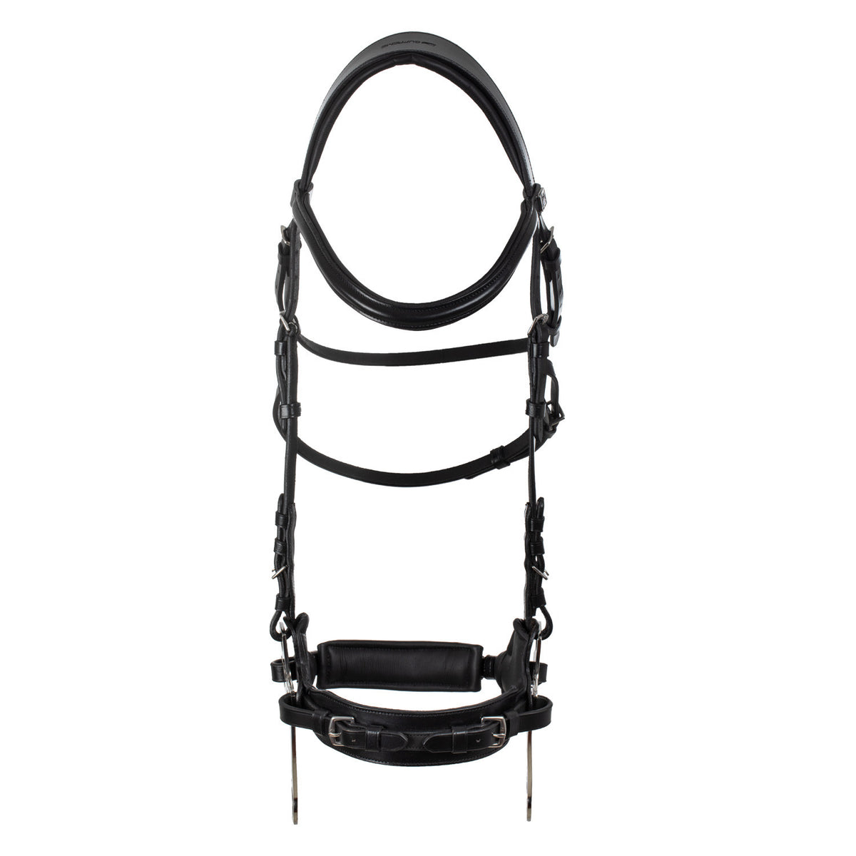 Hackamore bridle