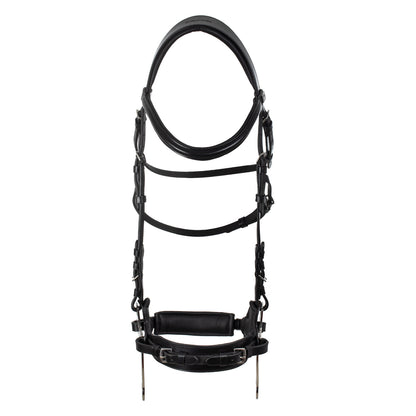 Hackamore bridle