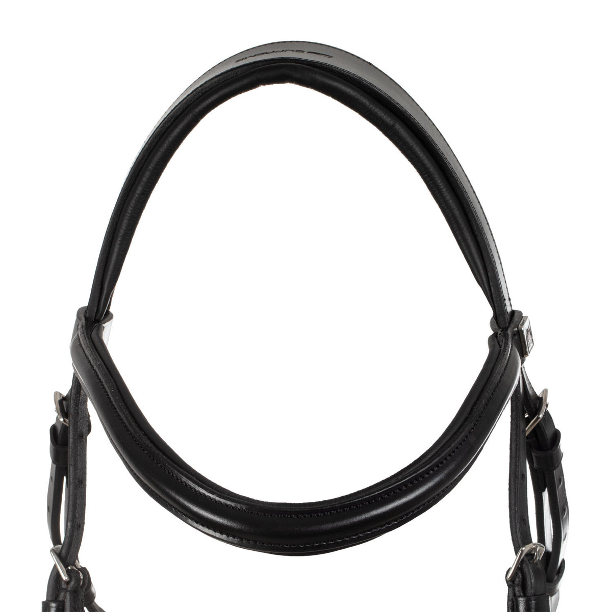 Hackamore bridle