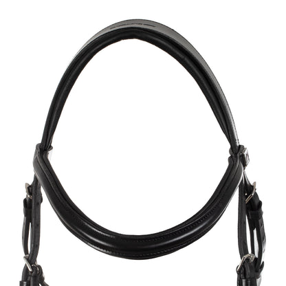 Hackamore bridle