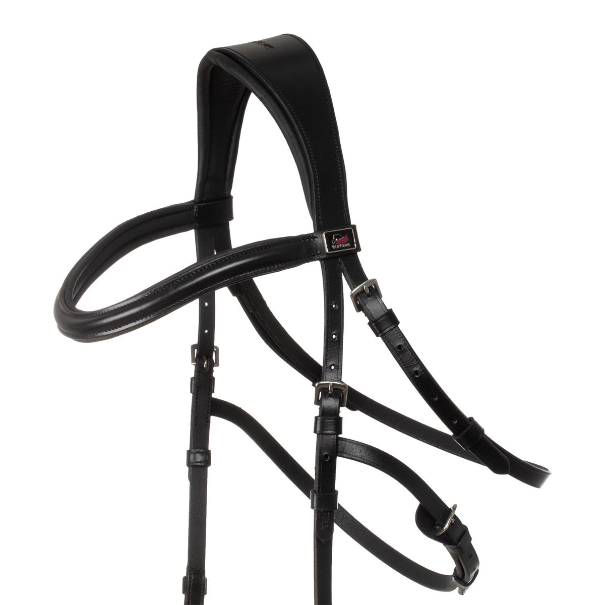 Hackamore bridle