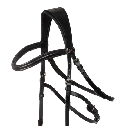Hackamore bridle