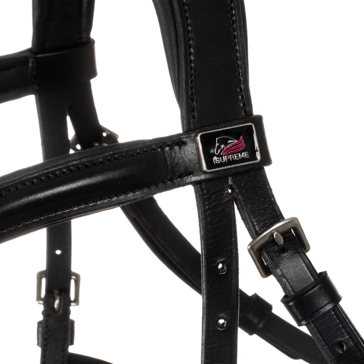 Hackamore bridle