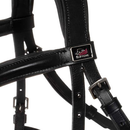 Hackamore bridle