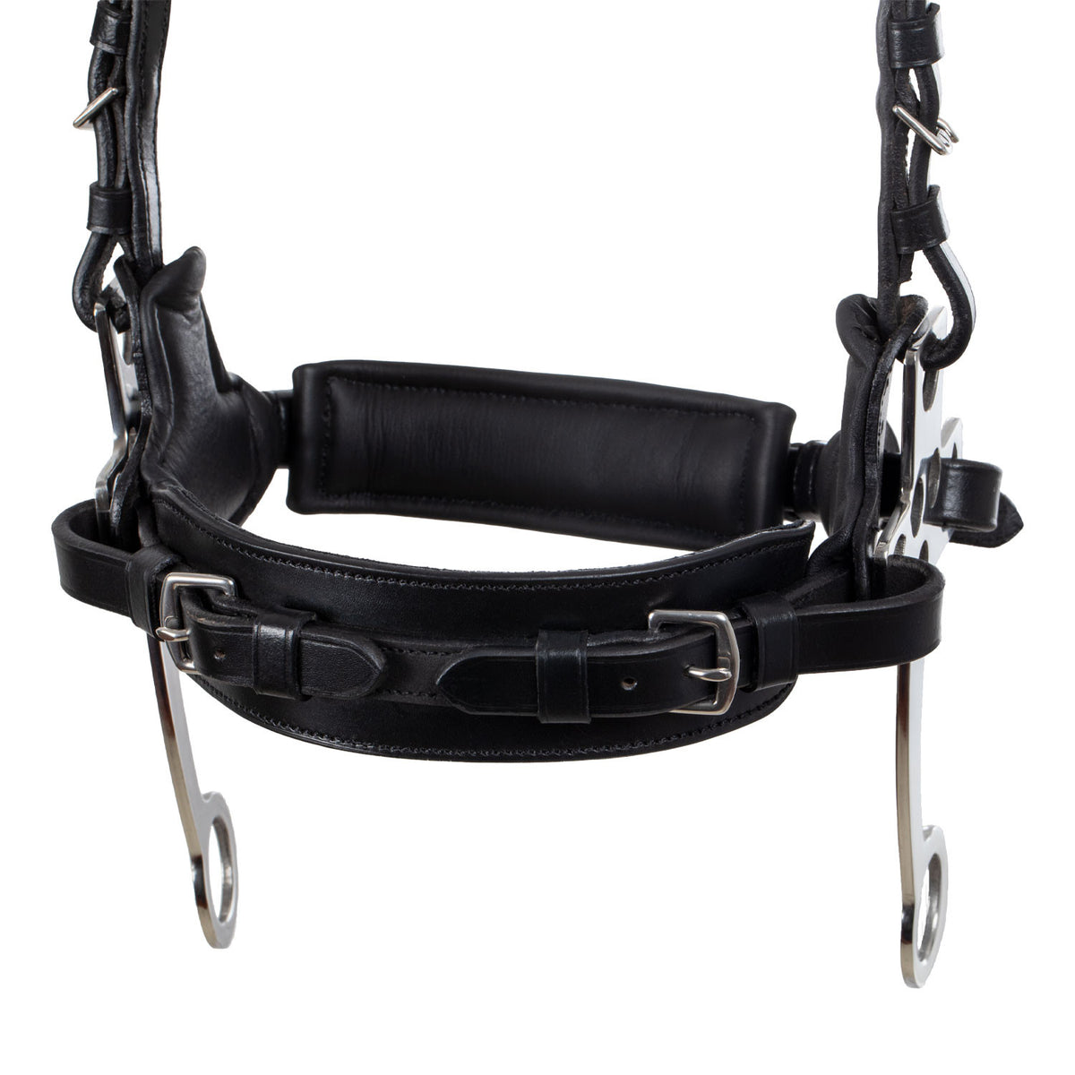 Hackamore bridle
