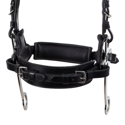 Hackamore bridle