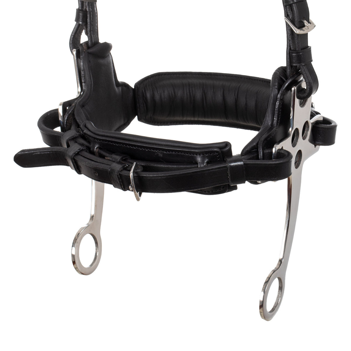Hackamore bridle