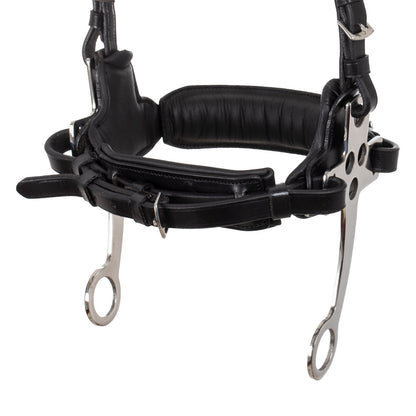 Hackamore bridle