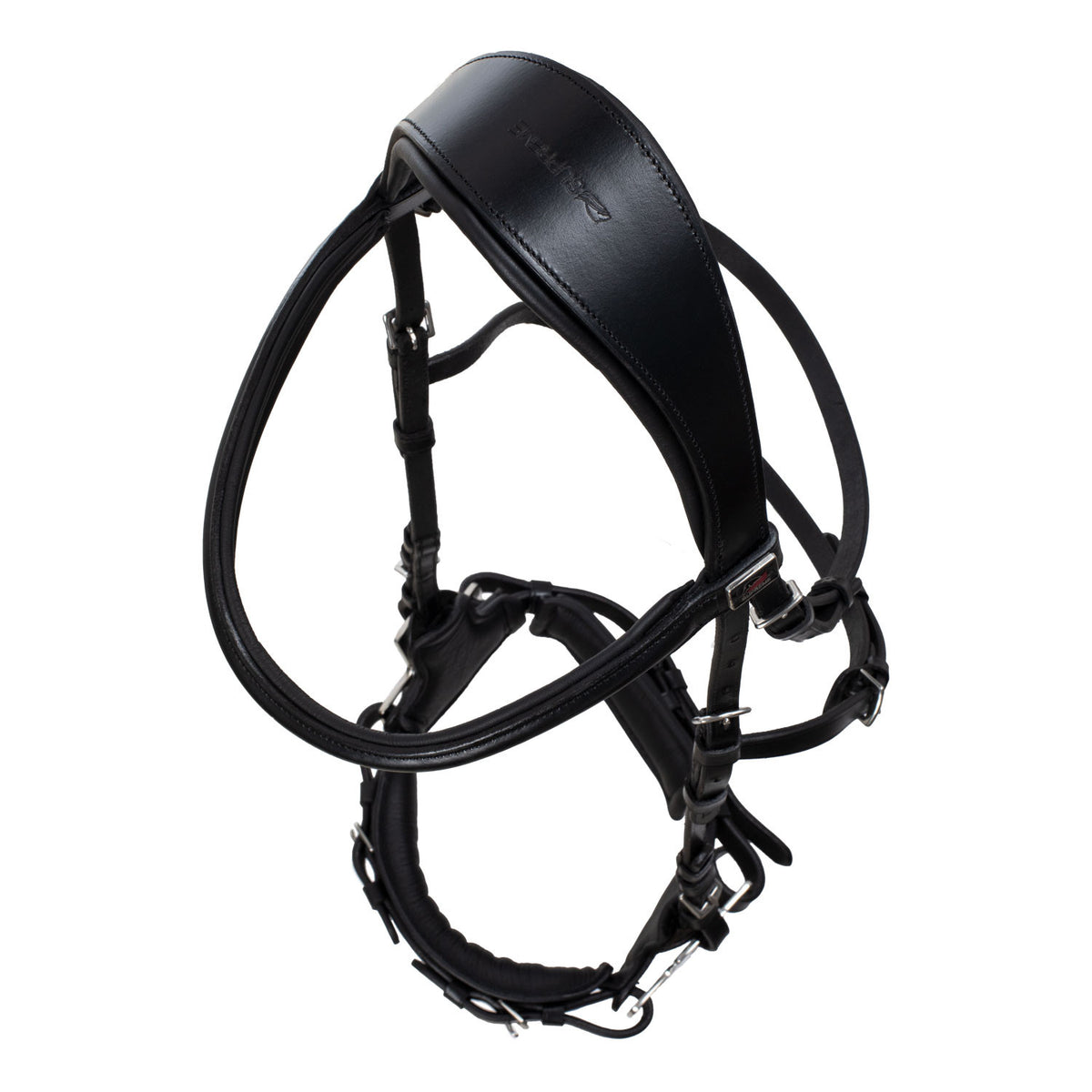 Hackamore bridle
