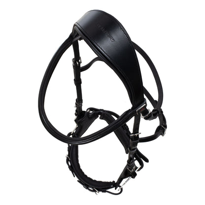 Hackamore bridle