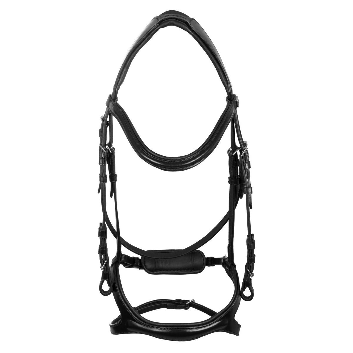 Snaffle bridle with anatomical curved noseband