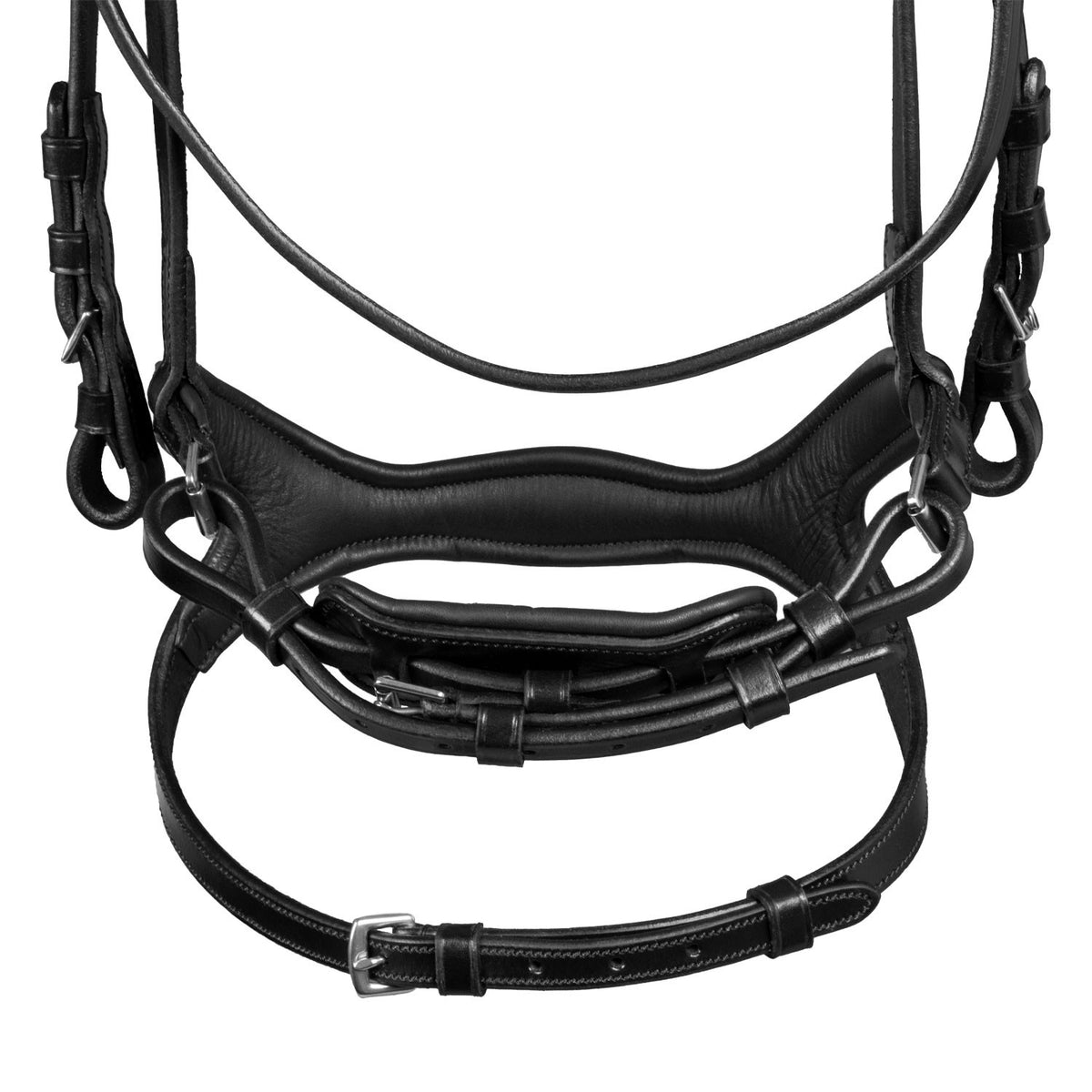 Snaffle bridle with anatomical curved noseband