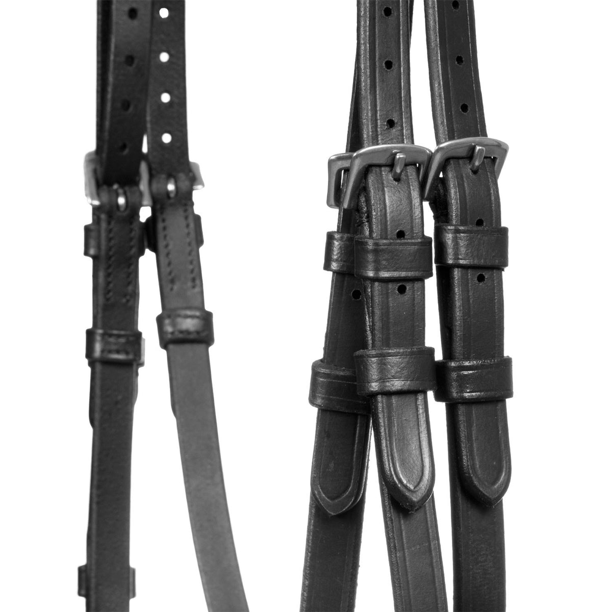 Raised bridle with decorative embroidery
