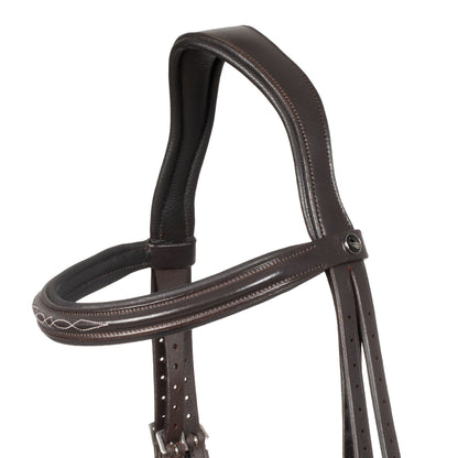 Raised bridle with decorative embroidery