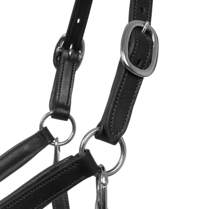 ERGONOMIC LEATHER HALTER