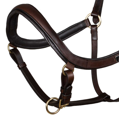 SWEDISH SHAPED LEATHER HALTER