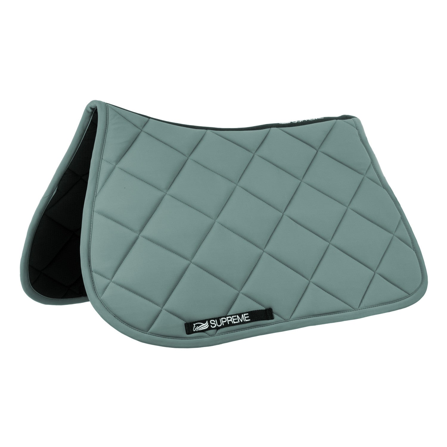 Pleasure jumping saddle pad.