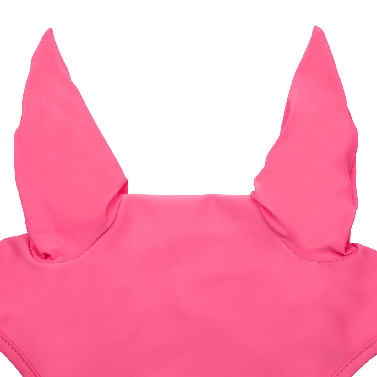 Pleasure fly veil in technical fabric