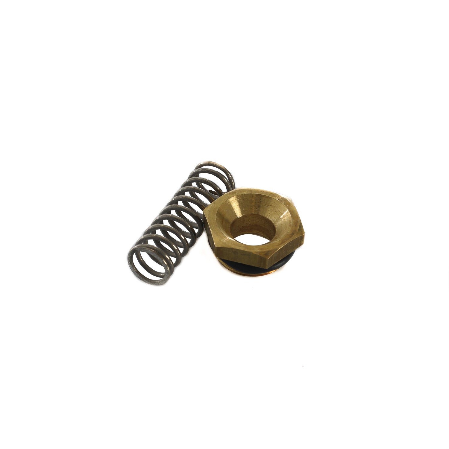 VALVE + SPRING X VA00069.