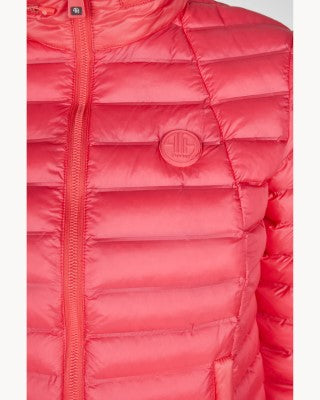 Pikeur Tanya Ladies ‘Hidden-Hood’ Jacket 1023 *Pre-Order for April Dispatch*