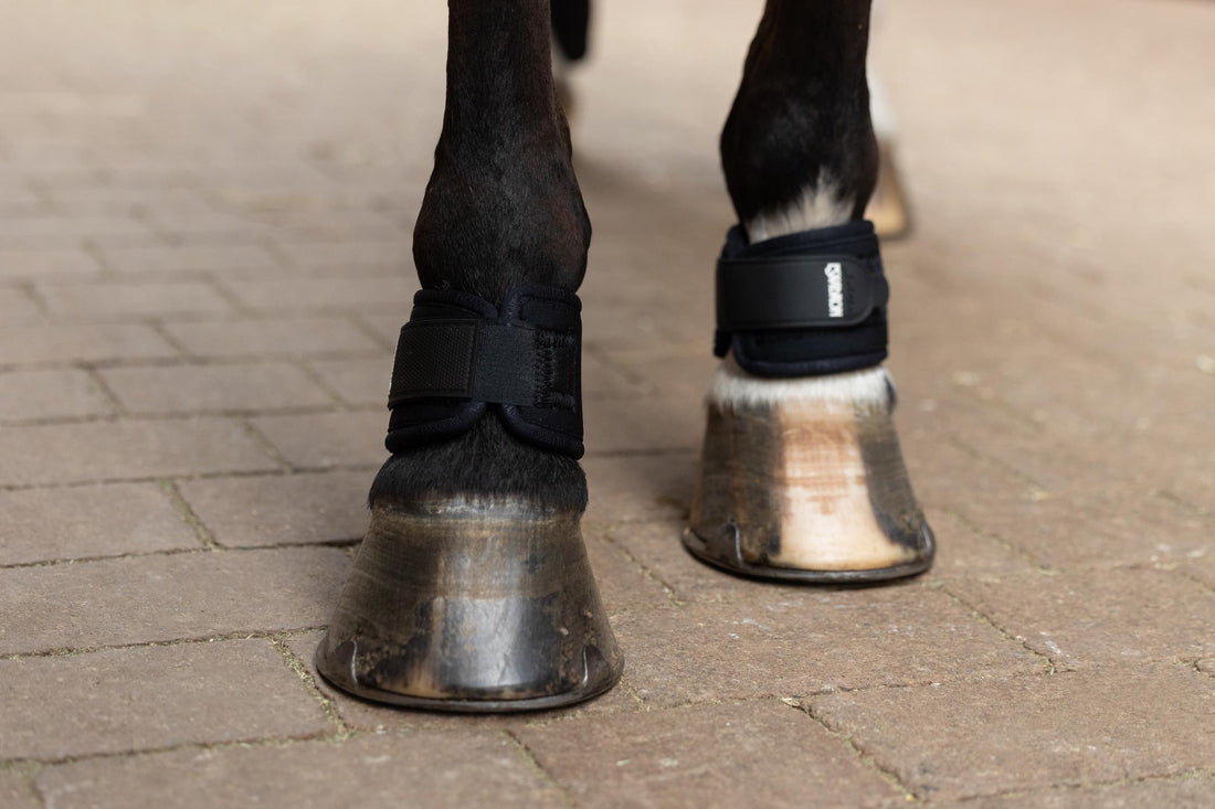 Eskadron Neoprene Pastern Wrap