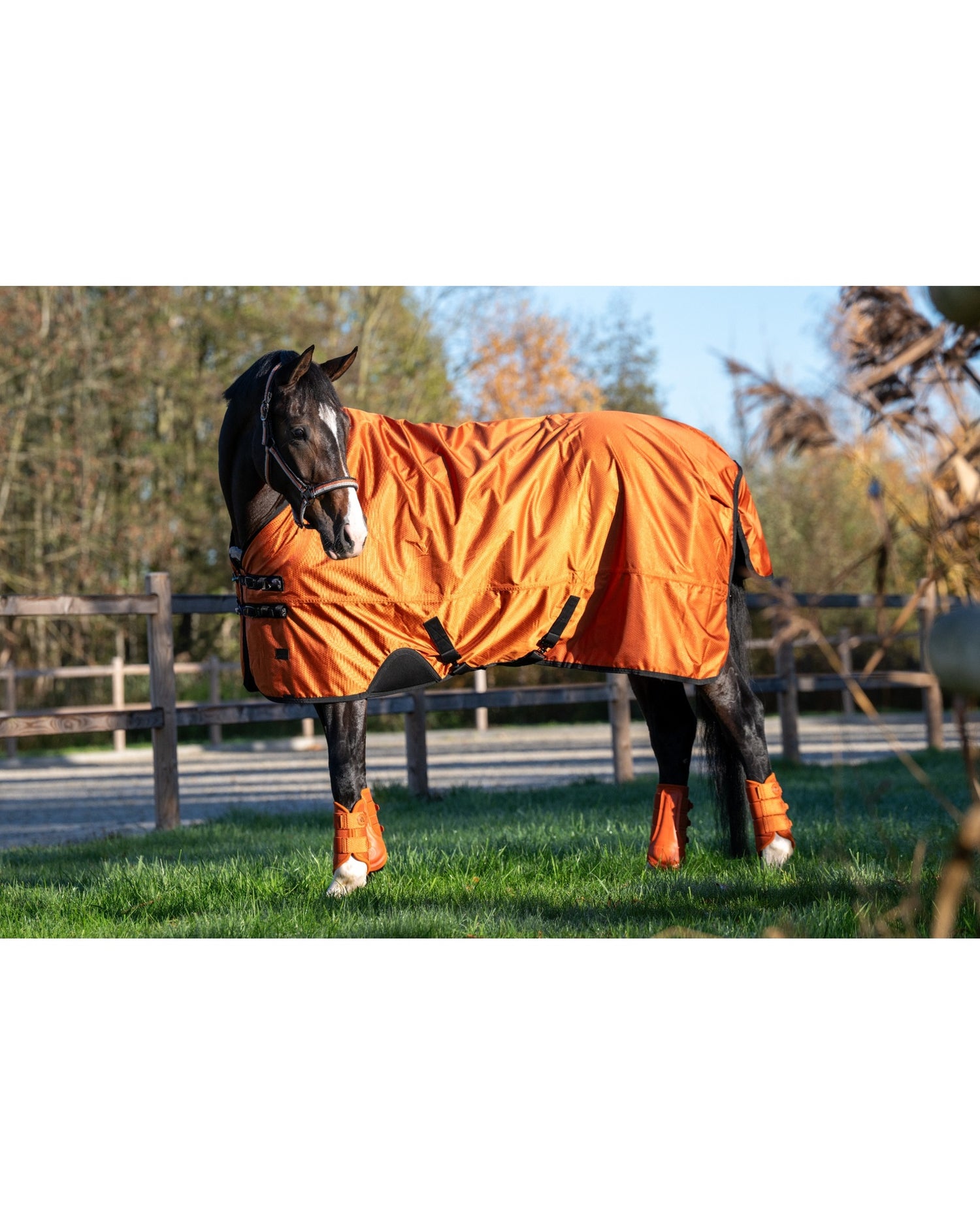 Eskadron Mesh Tendon Boots Platinum 26