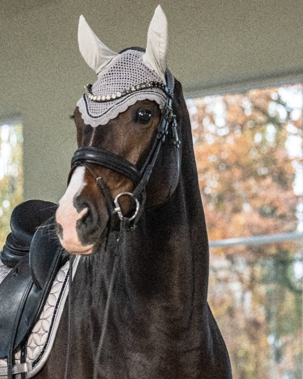 Eskadron Crystal Fly Hood Platinum 26