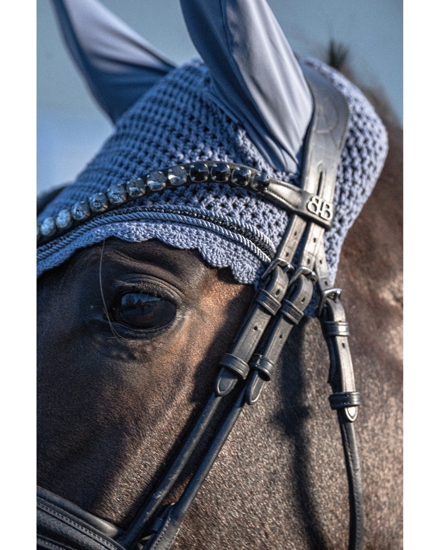 Eskadron Crystal Fly Hood Platinum 26
