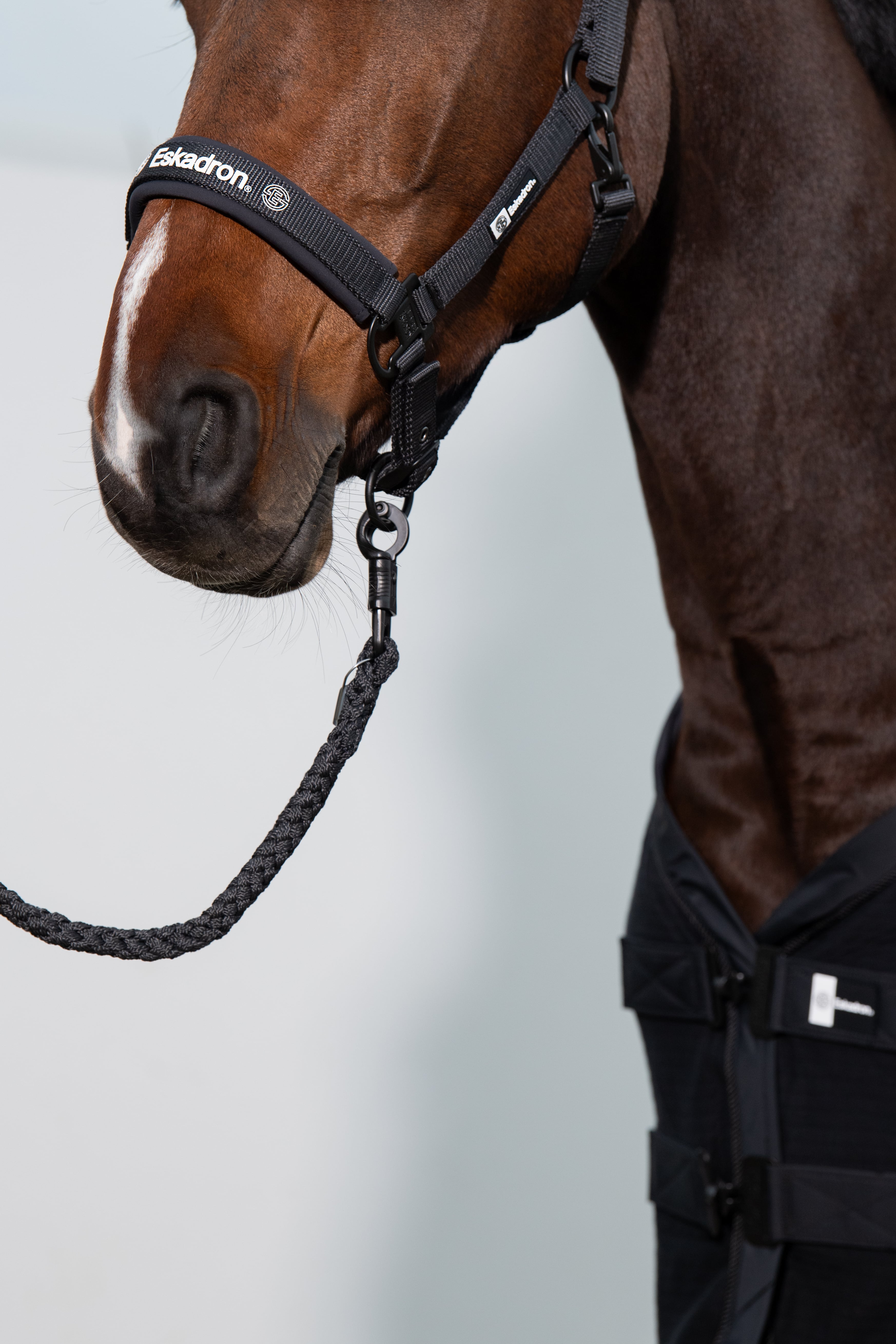 Eskadron Double Pin Headcollar Dynamic 2024