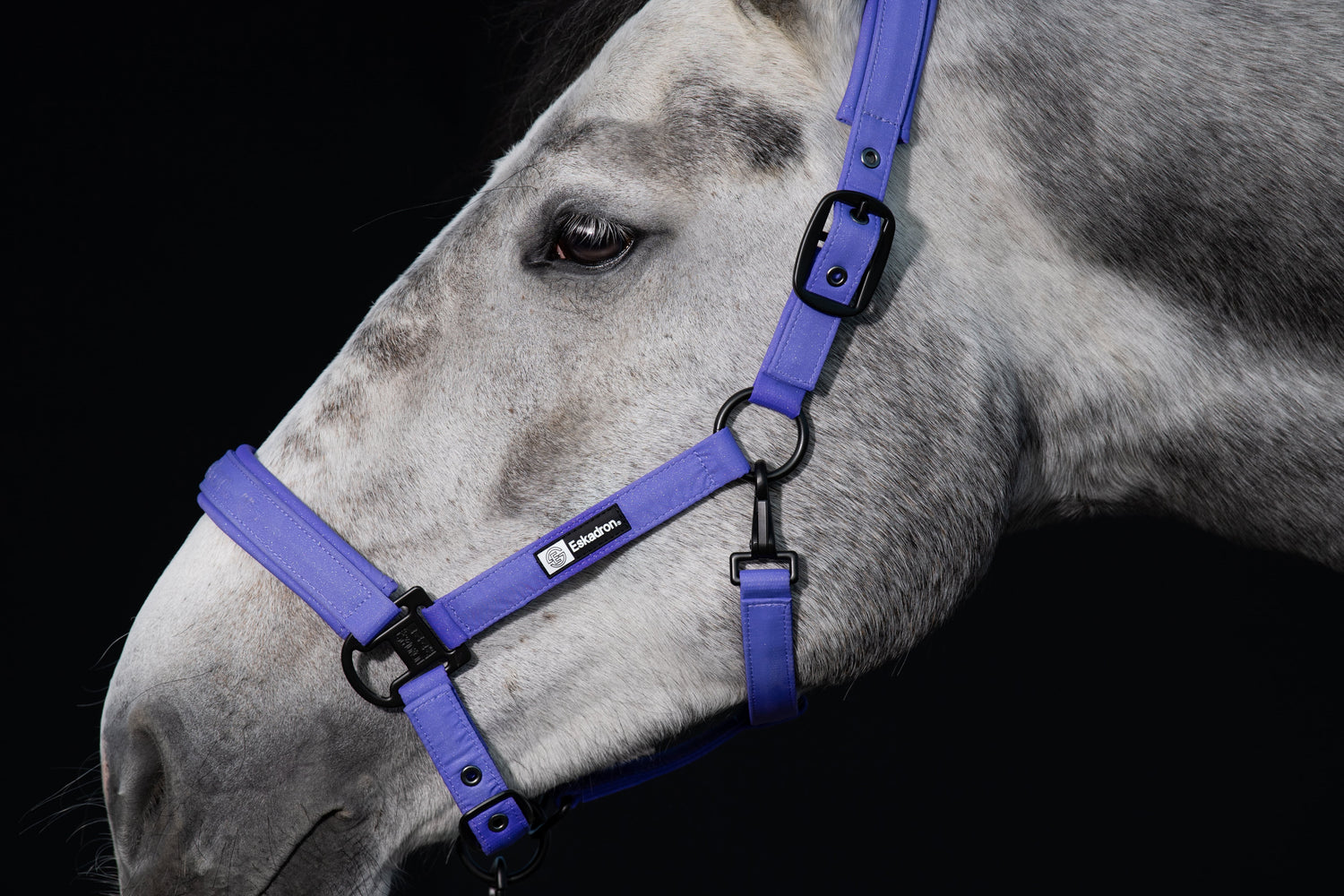 Eskadron Sparkle Double Pin Headcollar Dynamic 2024