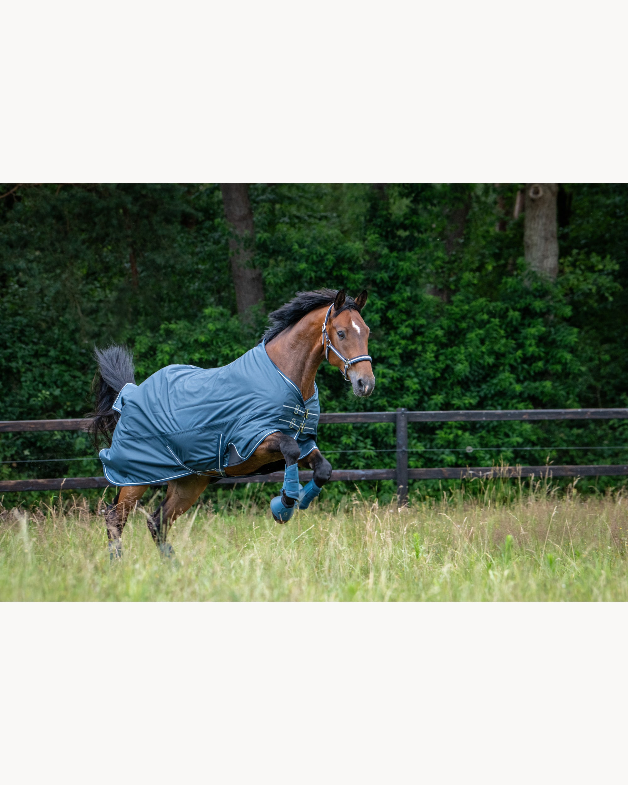 Eskadron Mesh Tendon Boots CS26