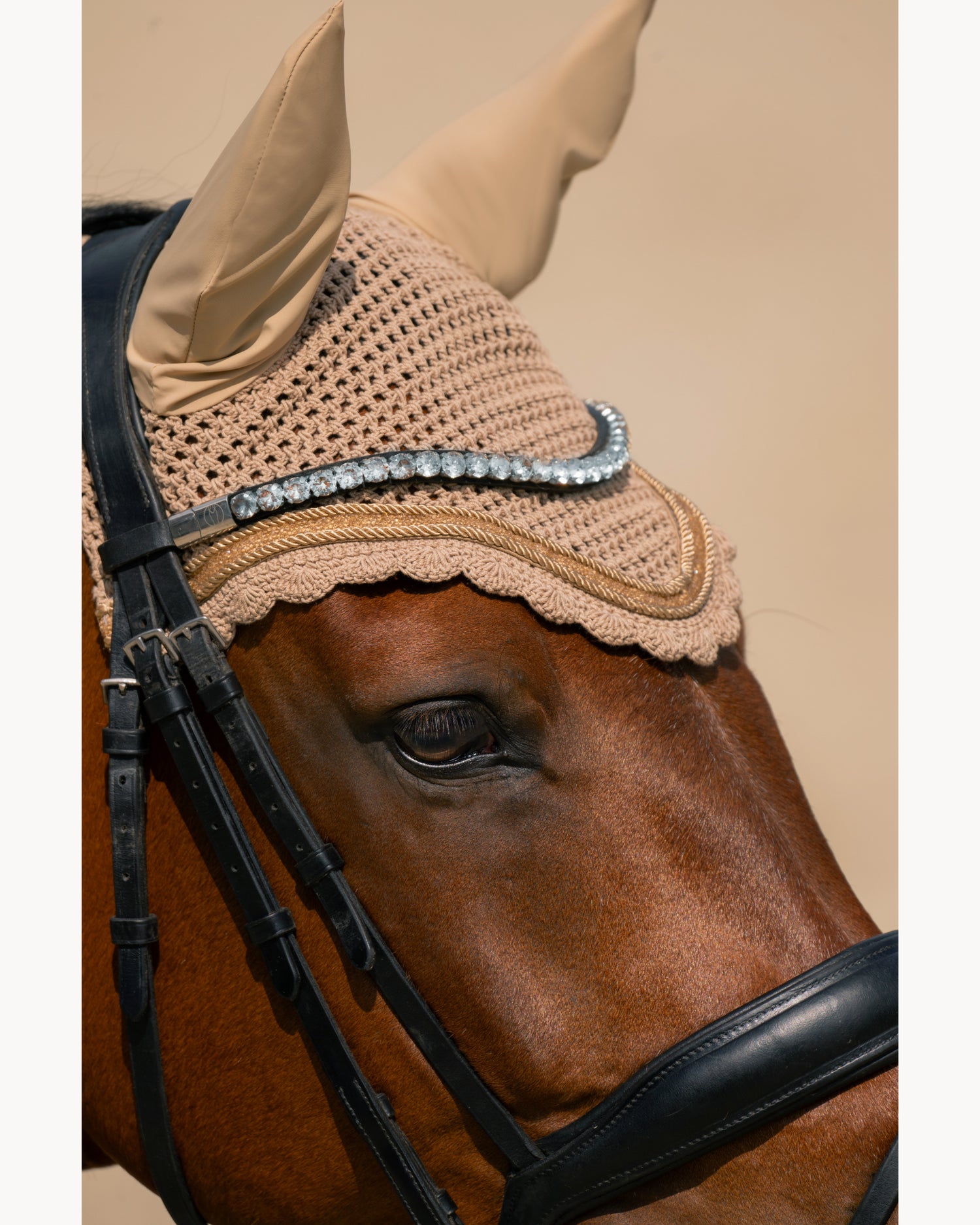 Eskadron Jewel Fly Hood CS26