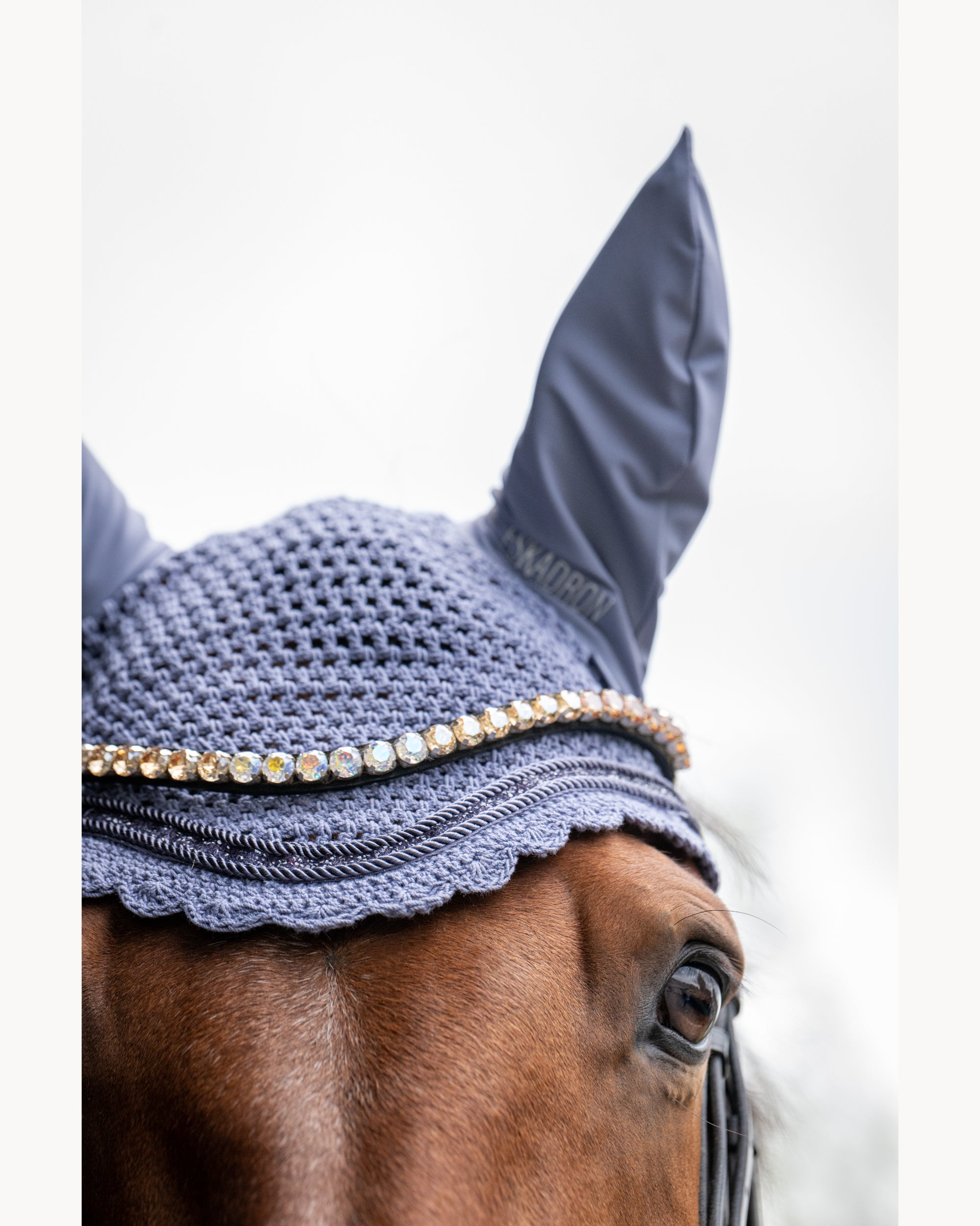 Eskadron Jewel Fly Hood CS26