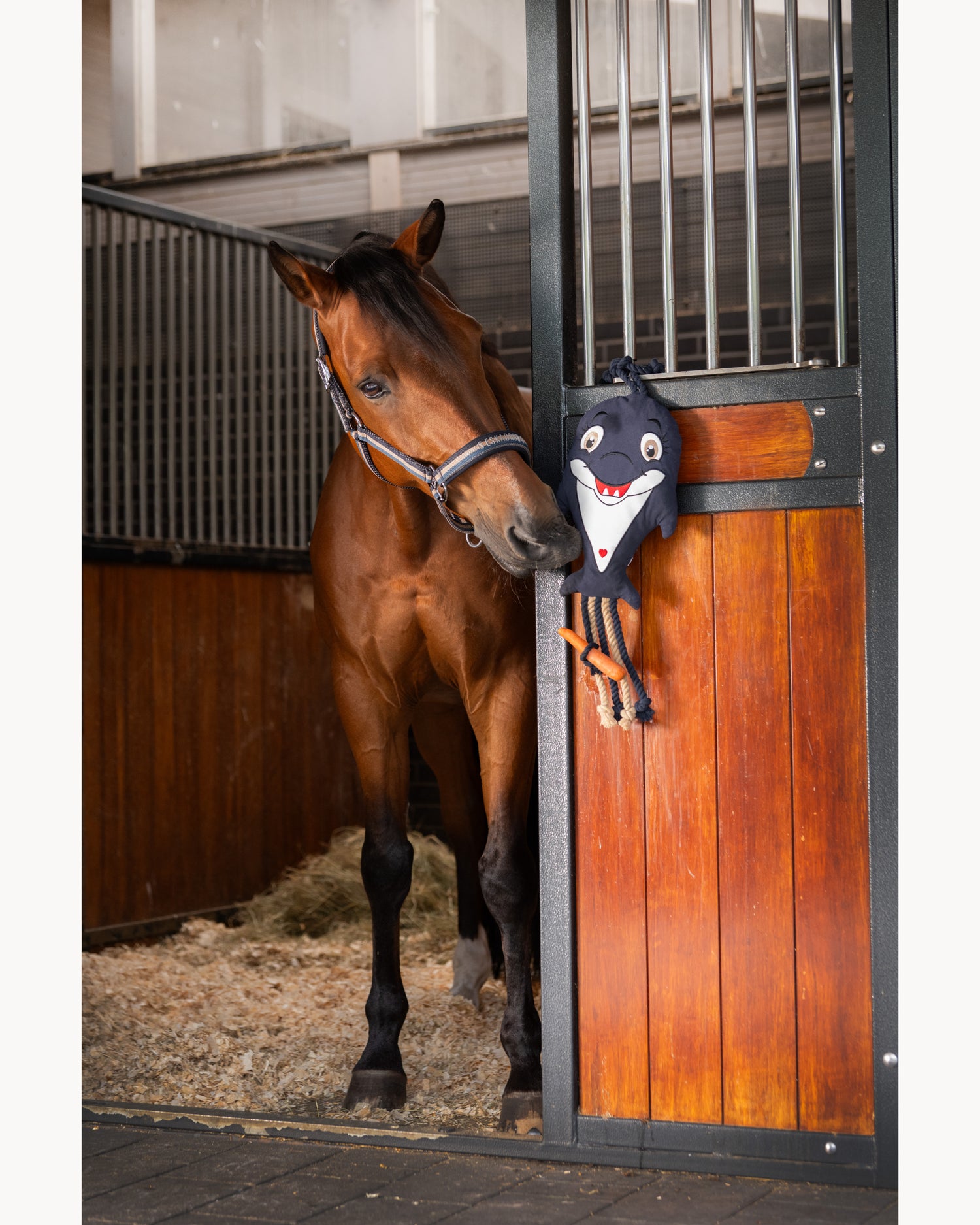 Eskadron Dolphin Horse Toy CS26
