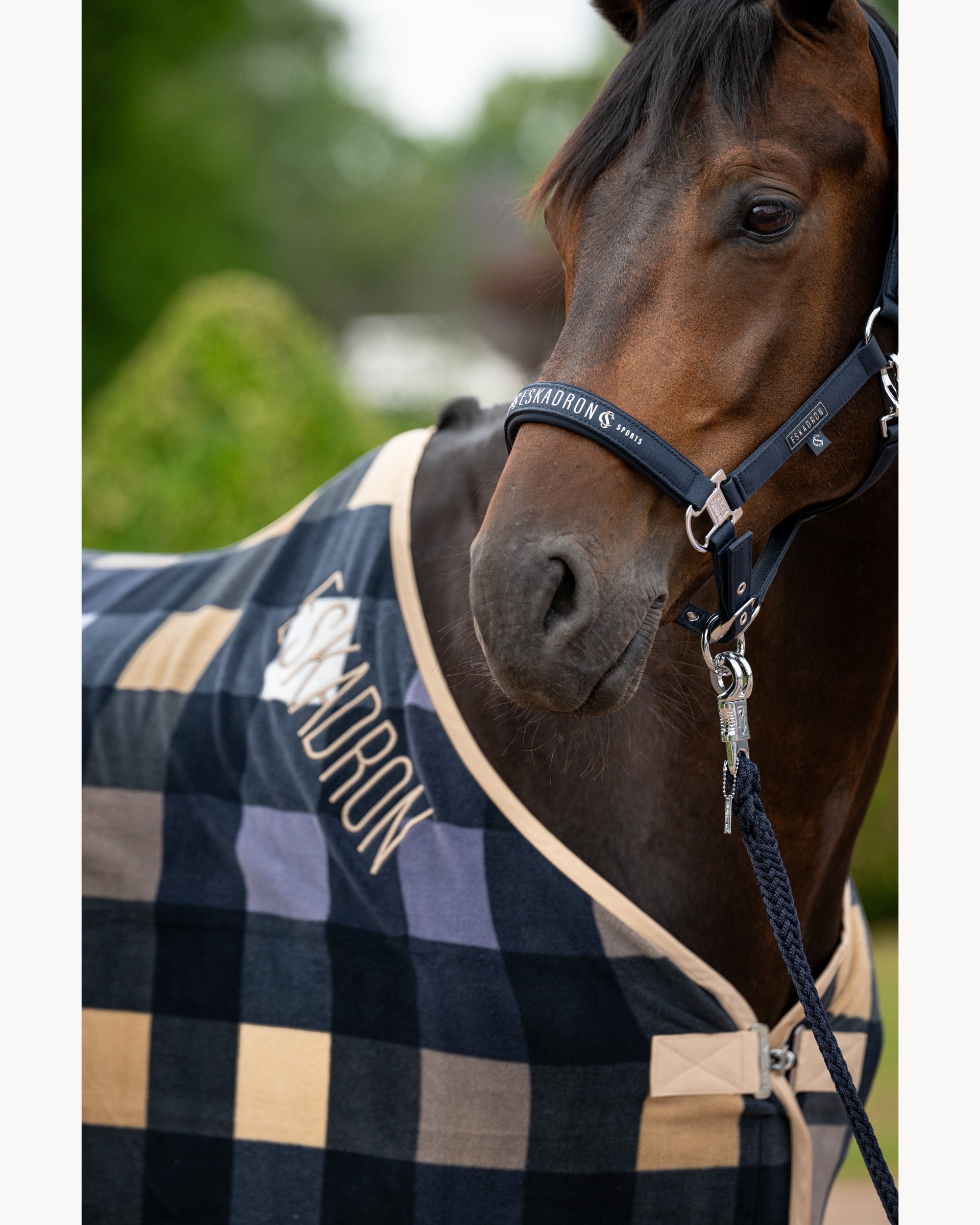 Eskadron Softshell Jewel Headcollar CS26