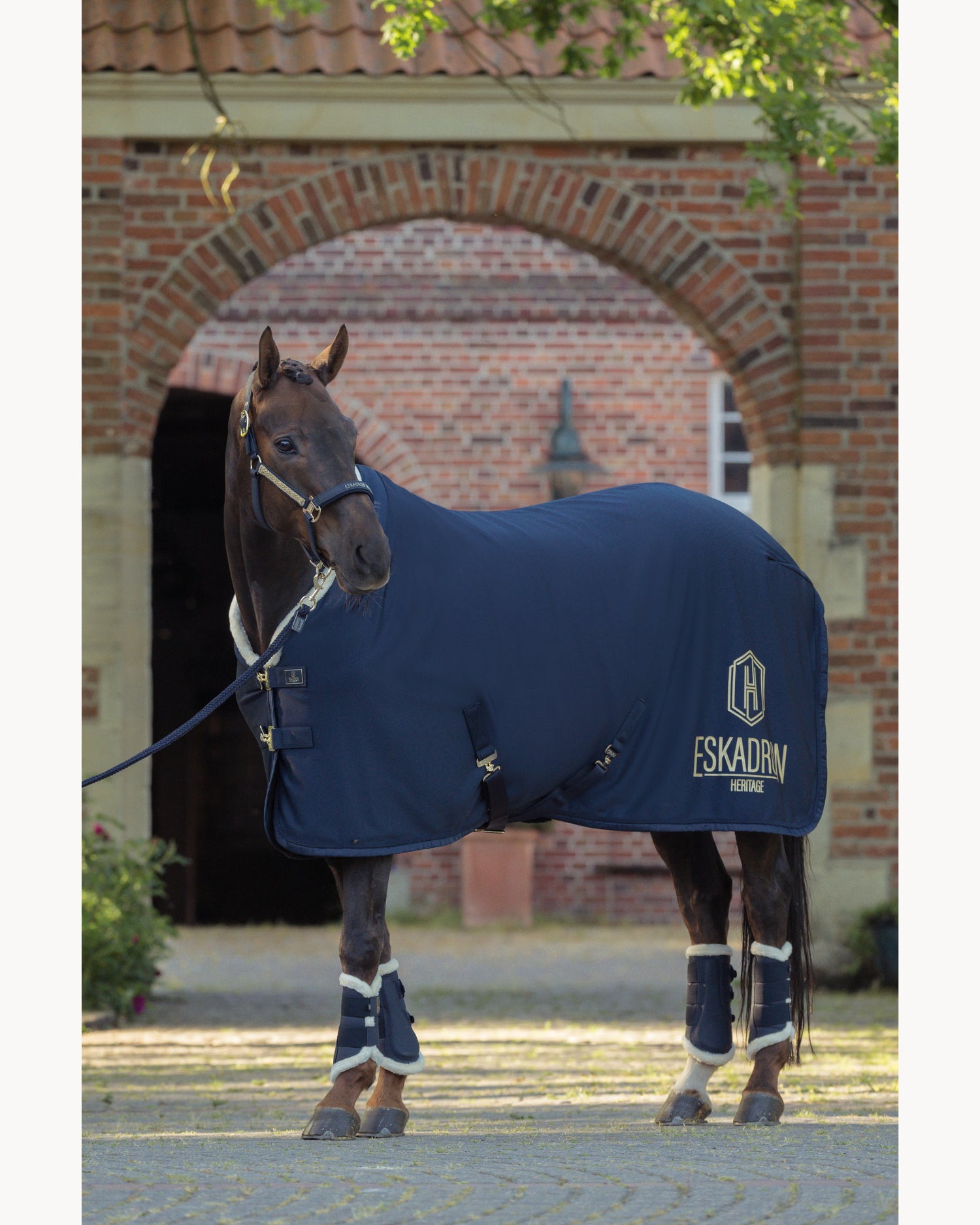 Eskadron Aerial Sparkle Sweat Rug Heritage 25
