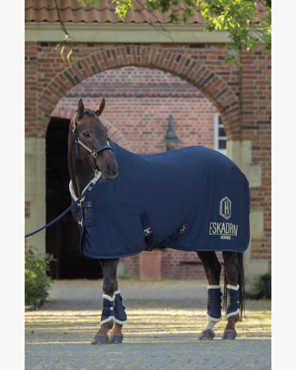 Eskadron Aerial Sparkle Sweat Rug Heritage 25