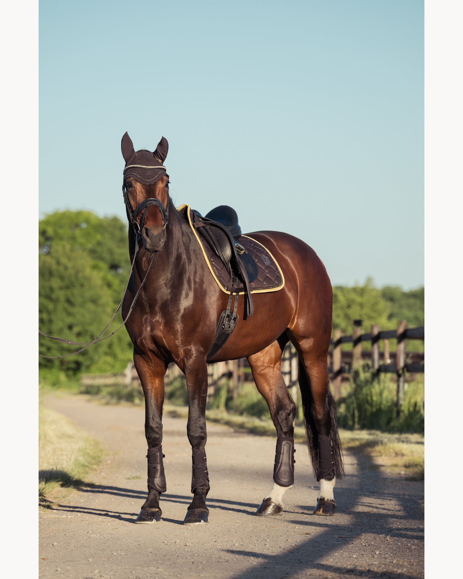 Eskadron Cotton Glitter Crystal Saddle Cloth Heritage 25