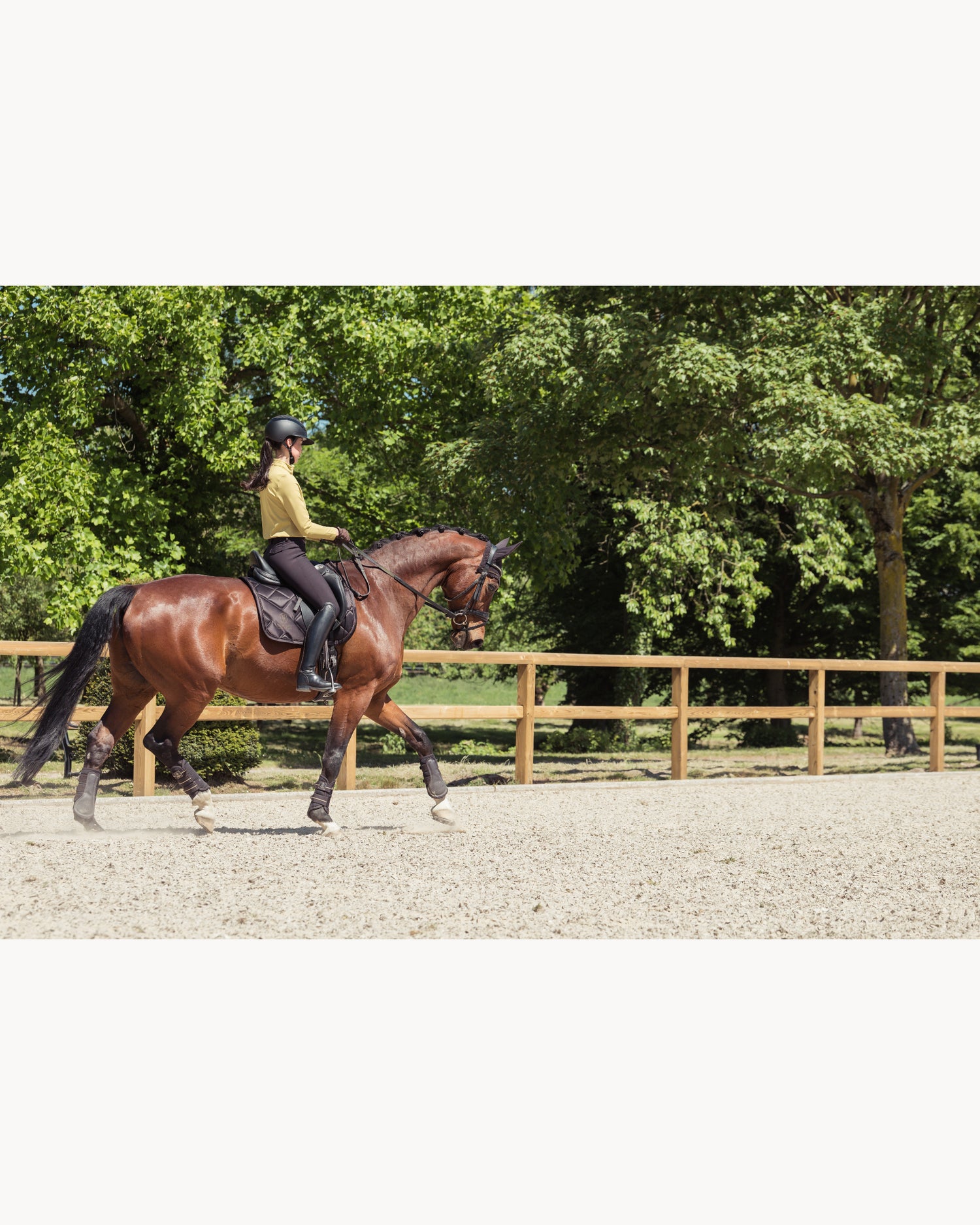 Eskadron Bicross Mattgloss Saddle Cloth Heritage 25