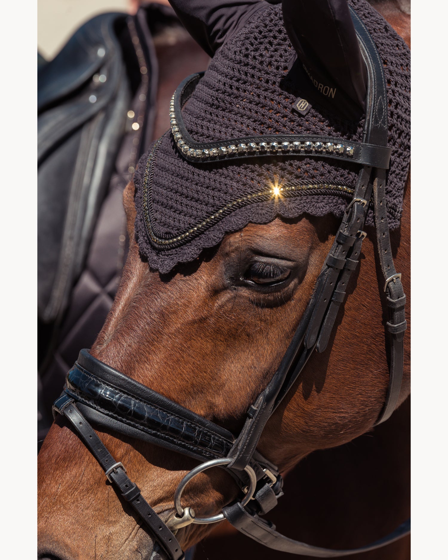 Eskadron Crystal Fly Hood Heritage 25