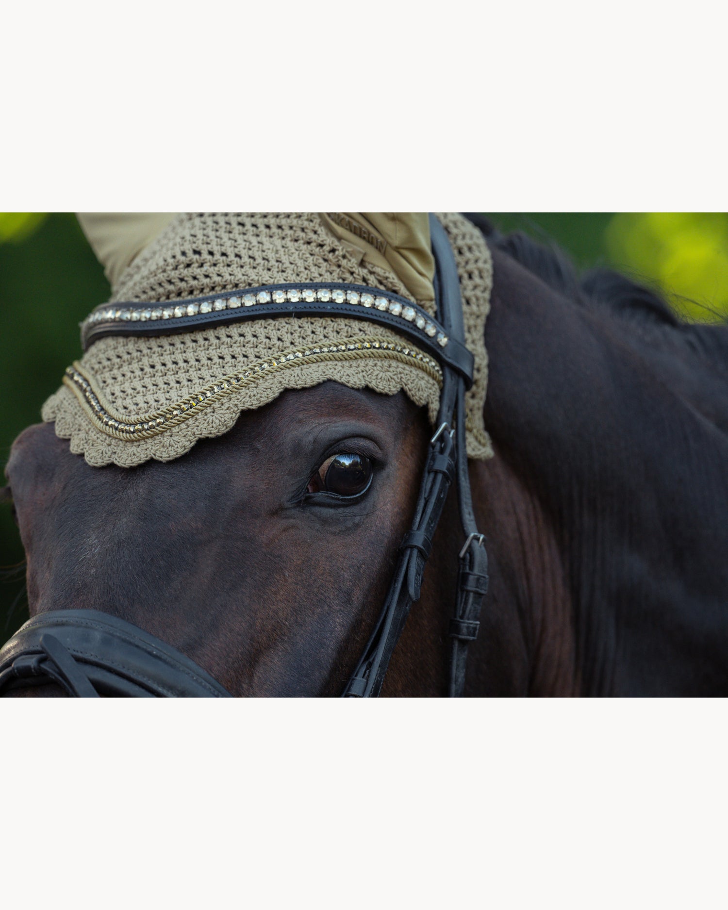 Eskadron Crystal Fly Hood Heritage 25