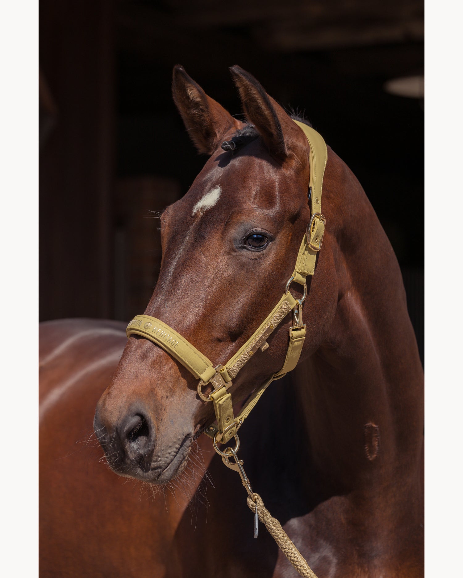 Eskadron Faux Leather Double Pin Headcollar Heritage 25