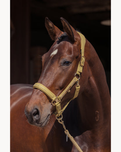 Eskadron Faux Leather Double Pin Headcollar Heritage 25