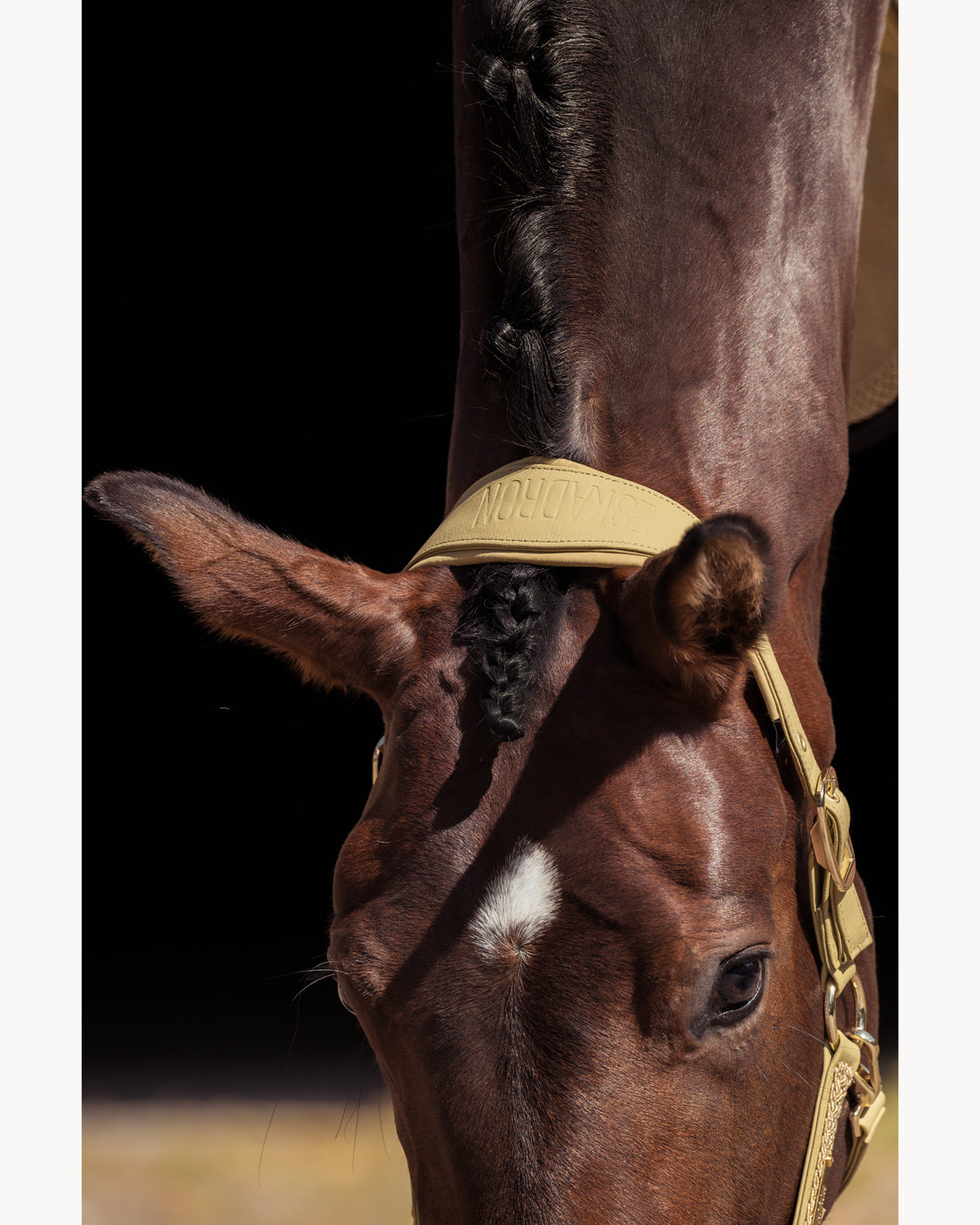 Eskadron Faux Leather Double Pin Headcollar Heritage 25