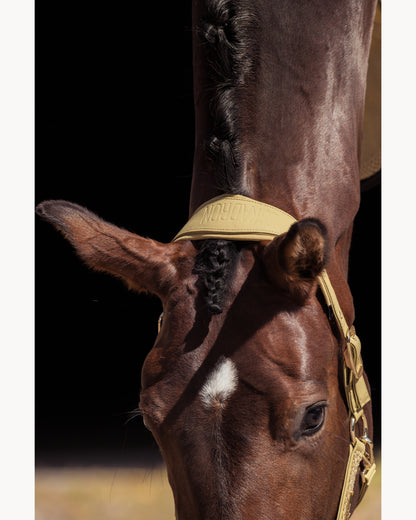 Eskadron Faux Leather Double Pin Headcollar Heritage 25